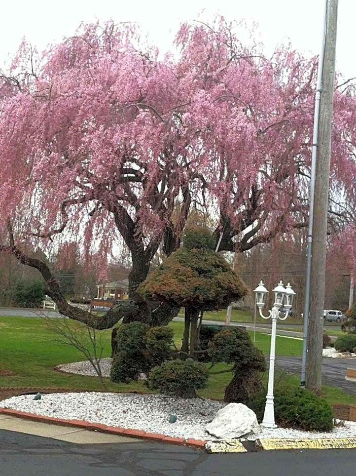 Cheshire Welcome Inn