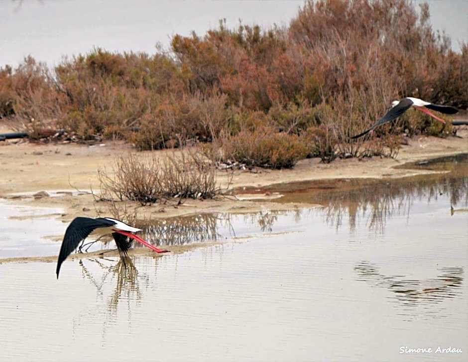 Agriturismo Is Solinas