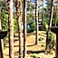 Domek z bali Tryszczyn nad Brdą