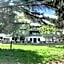 Hotel Nel Pineto