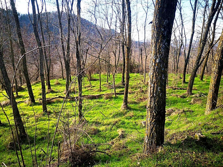 ALBERGO BALDAZZI 1916