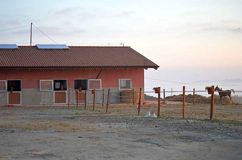 Agriturismo Podere Diacceroni