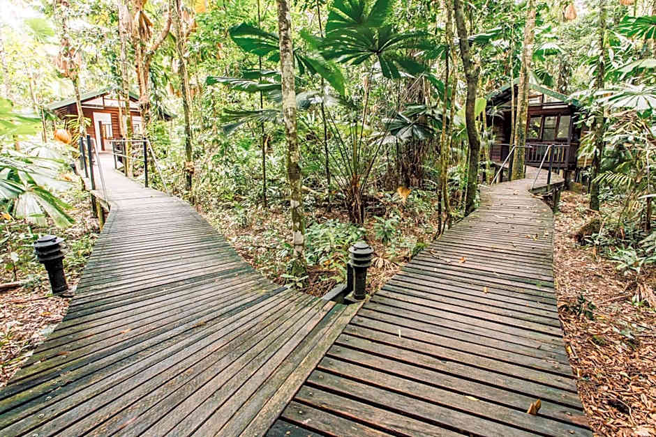 Daintree Wilderness Lodge