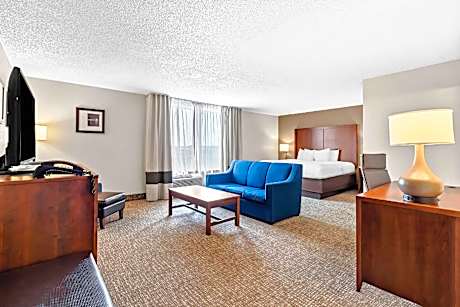 1 King Bed, Suite, Nonsmoking