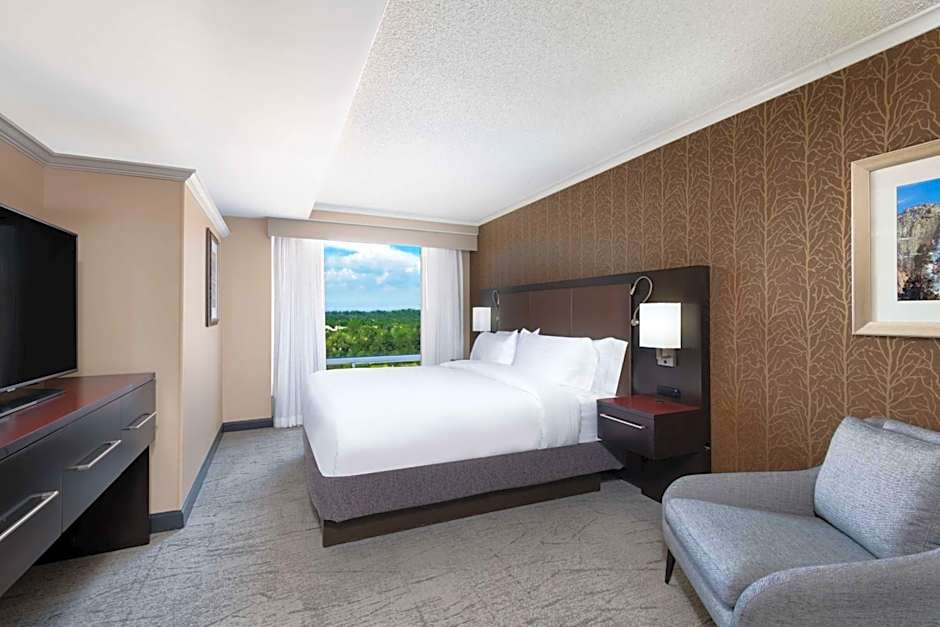 Photo 1 of 4 of Studio 1 King Bed Suite