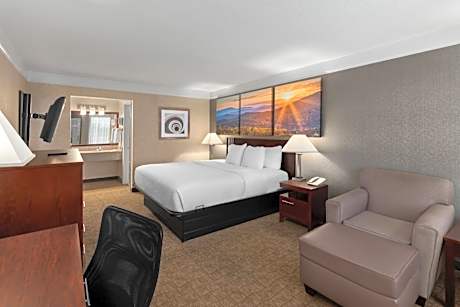 1 King Bed Non-Smoking