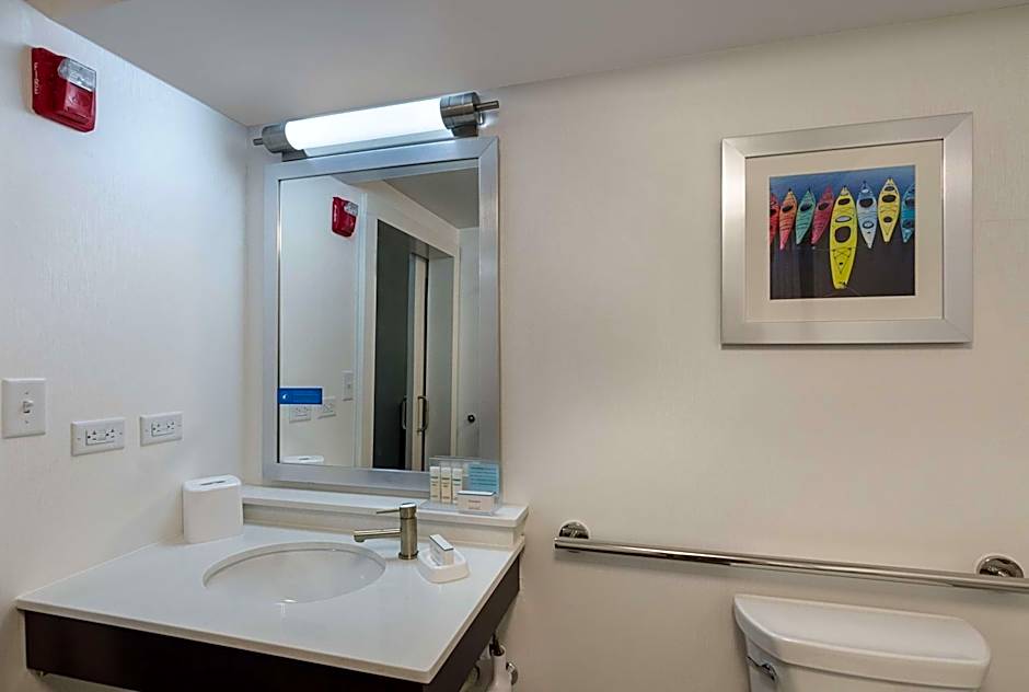 Hampton Inn By Hilton Covington VA