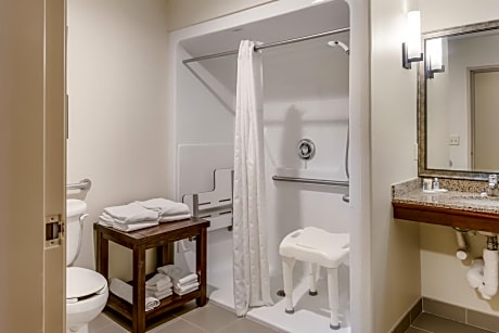 King Suite with Roll-in-Shower - Accessible/Non-Smoking