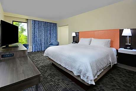 1 King Bed W/Sofabed Nonsmoking