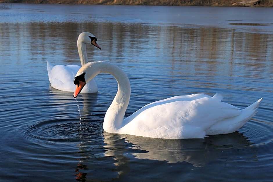 Kinloch Hotel, Isle of Arran