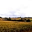 B&B Downham Hall
