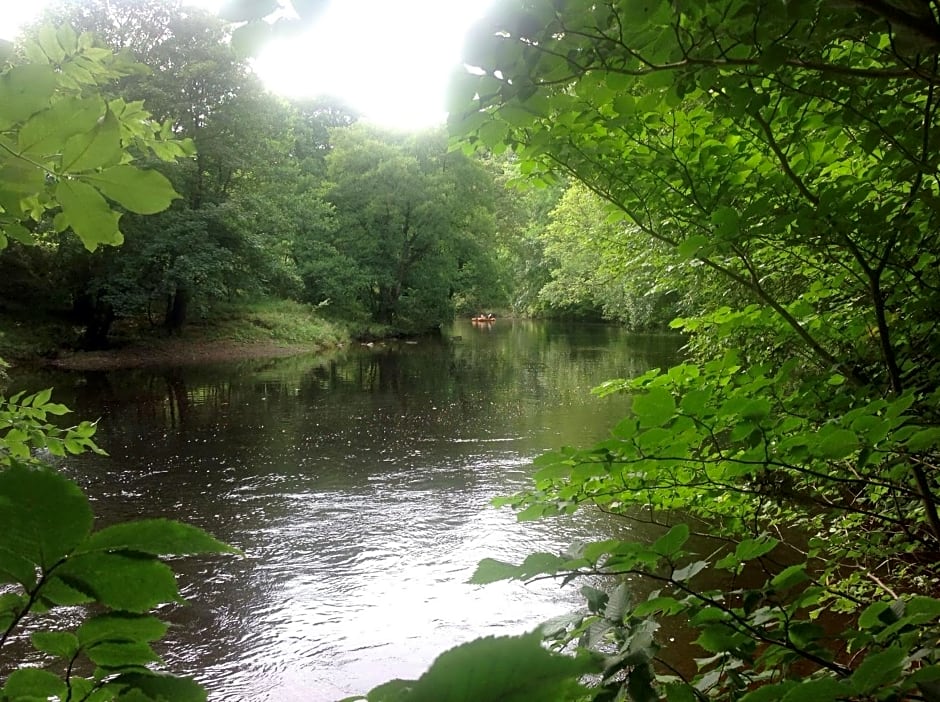 lyne view, log cabin