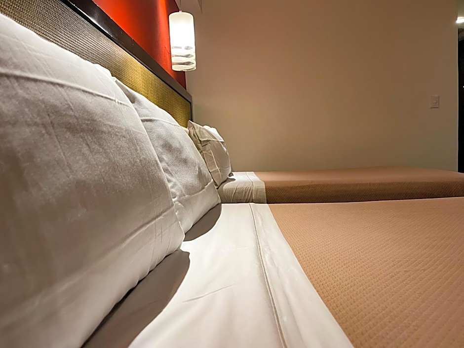 Hotel Catedral