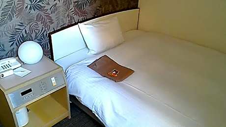 Deluxe Single Room - Non Smoking