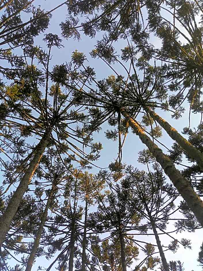 Pousada Rural Canto do Riacho