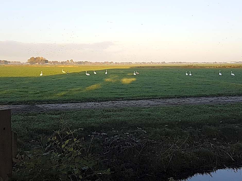 Bed & Breakfast De Koegang