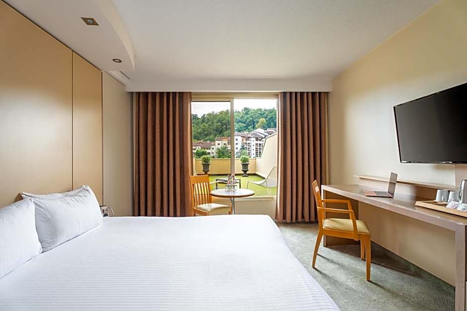 Hôtel Lyon Métropole