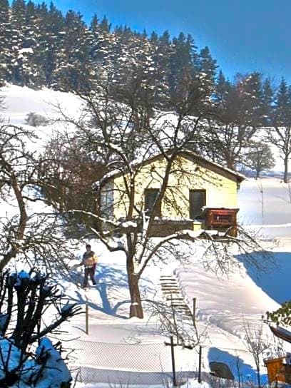Hotel-Gasthaus Steiger