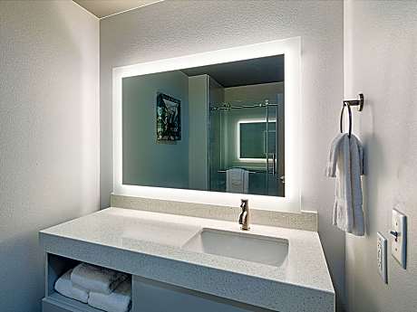 King Suite with Sofa Bed
