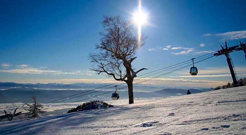 Furano Natulux Hotel