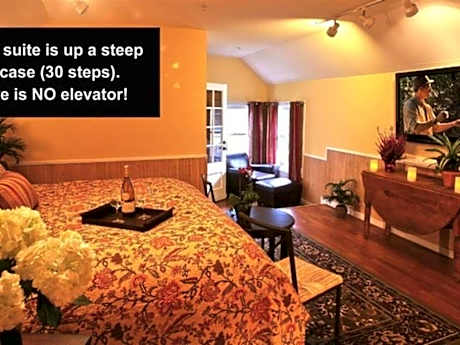 Starry Night - Not Pet Friendly
