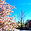 Campingpark de Linie