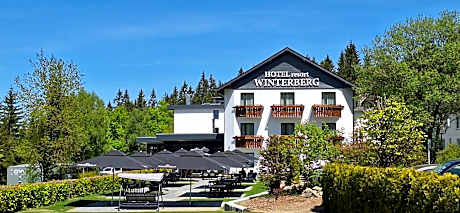 Hotel Winterberg Resort