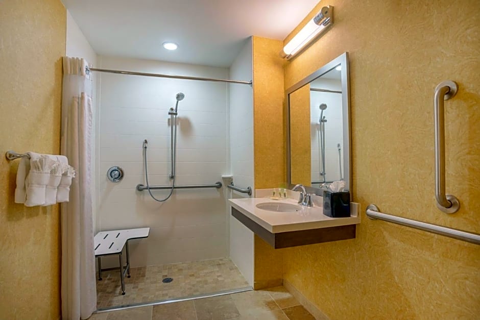 Holiday Inn Baltimore BWI Airport, an IHG Hotel