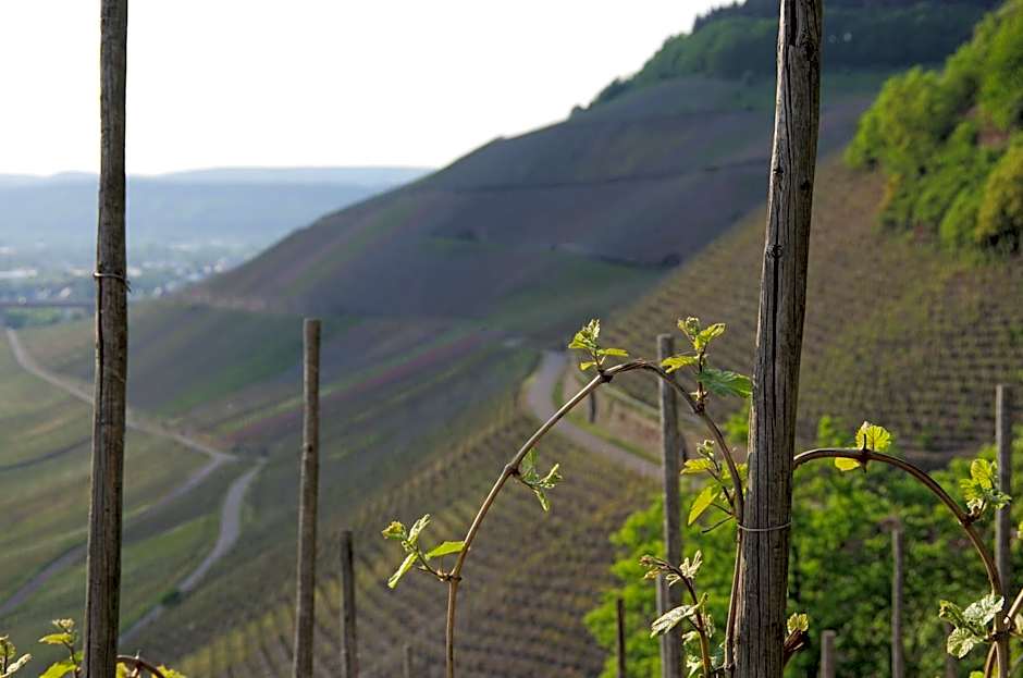 Weingut Weich