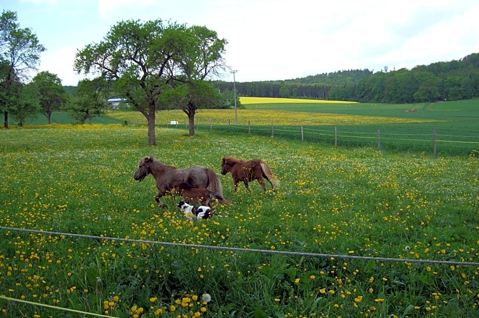 Landhotel Oßwald