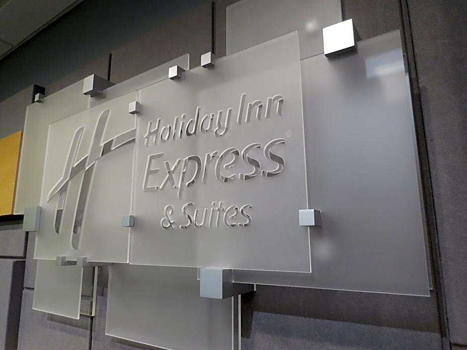 Holiday Inn Express & Suites Spring Hill By IHG