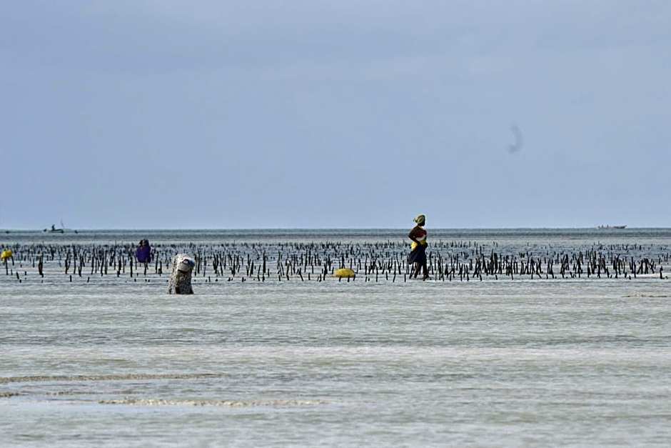 Mem Luxury Apartments and Hotel