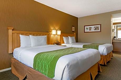 Queen Room with Two Queen Beds