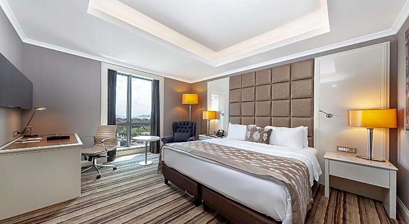 Dedeman Bostanci Istanbul Hotel & Convention Center