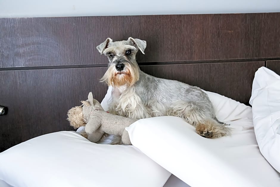 San Diego Suítes Pampulha