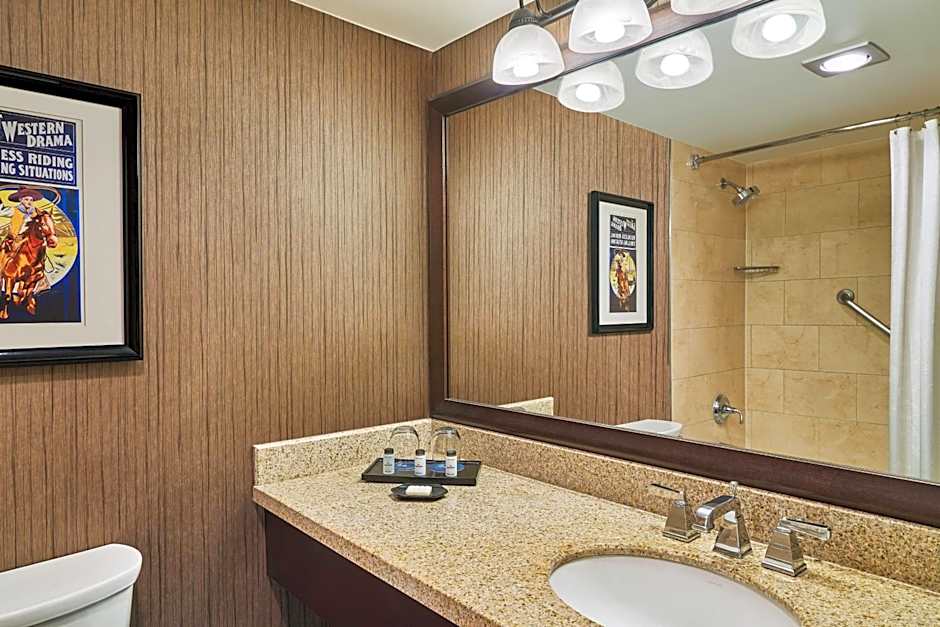 Sheraton North Houston At George Bush Intercontinental