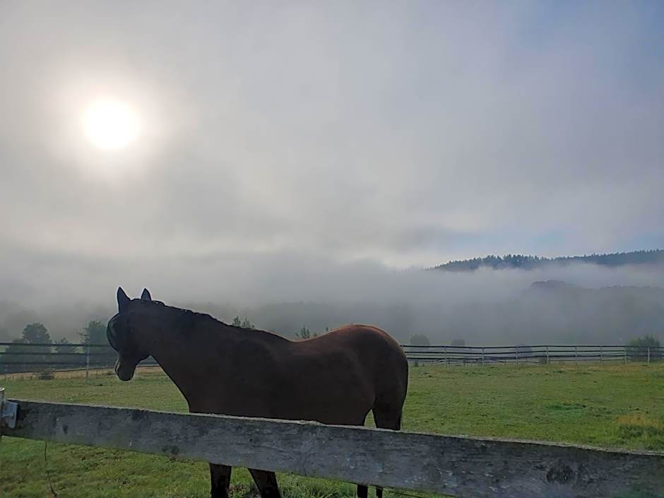 Hotelový a jezdecký areál Dvůr Krutěnice
