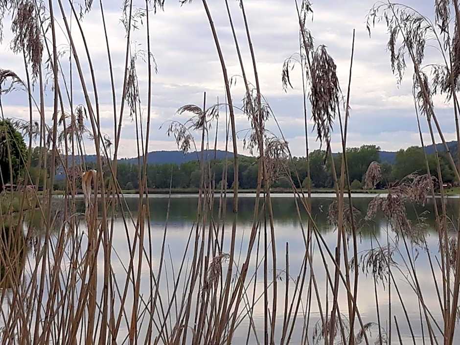 Koschak Wirt & Weinbauer