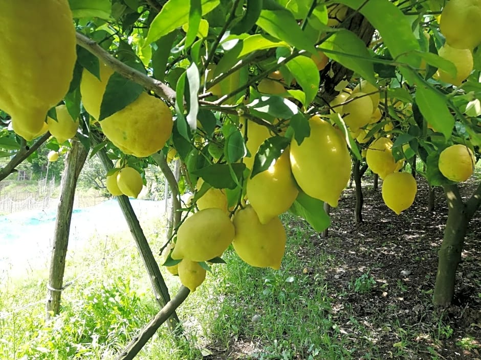 La Roccia Incantata Amalfi Coast