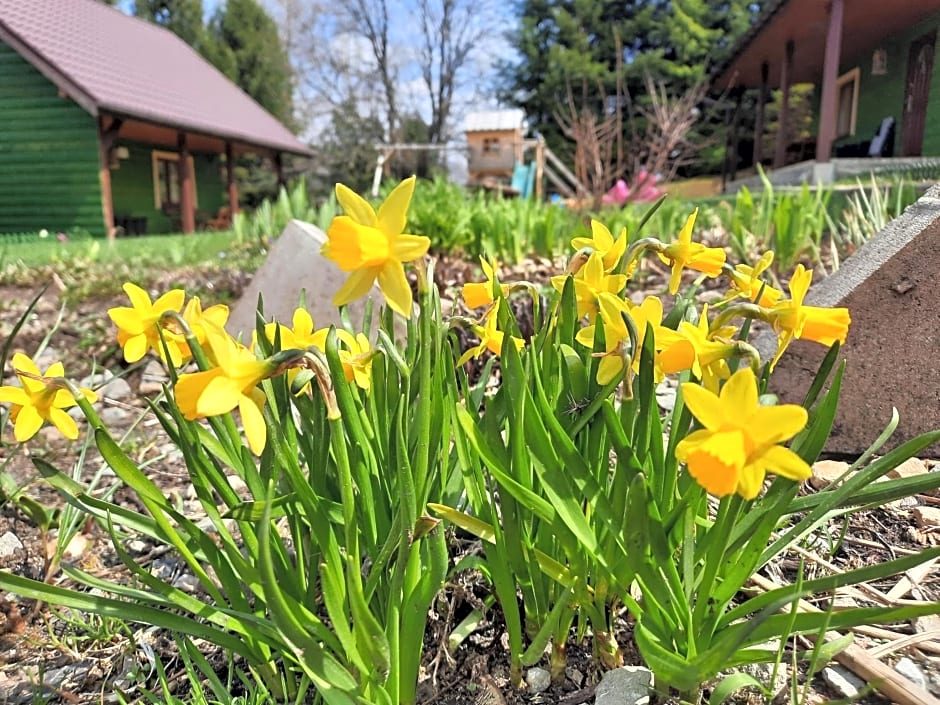 Domki i Apartamenty Rogate Anioły