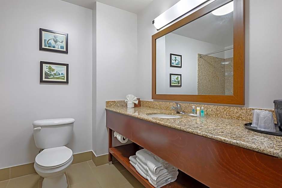 Comfort Suites Dfw N/Grapevine