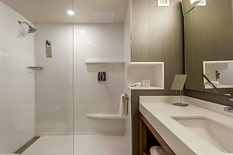 Suite, 1 King Bed with Sofa bed (1 King Bed and 1 Double Sofa Bed)