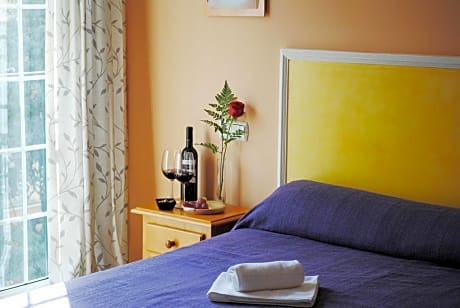 Double Room Single Use