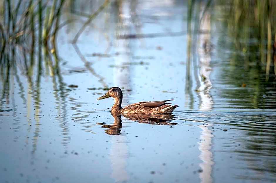 Geovita w Jadwisinie