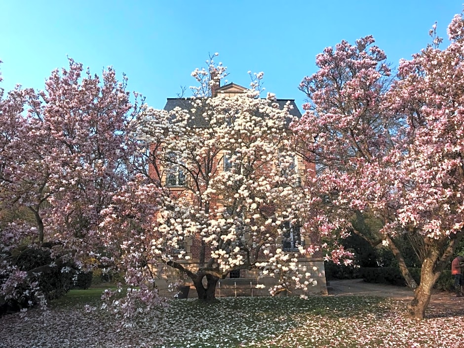L'Atelier des Magnolias