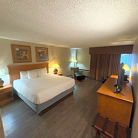 Standard King Room
