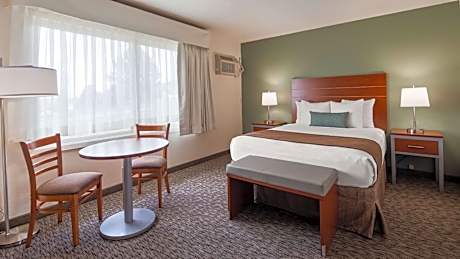 Best Western Buffalo Ridge Inn Near Mt Rushmore