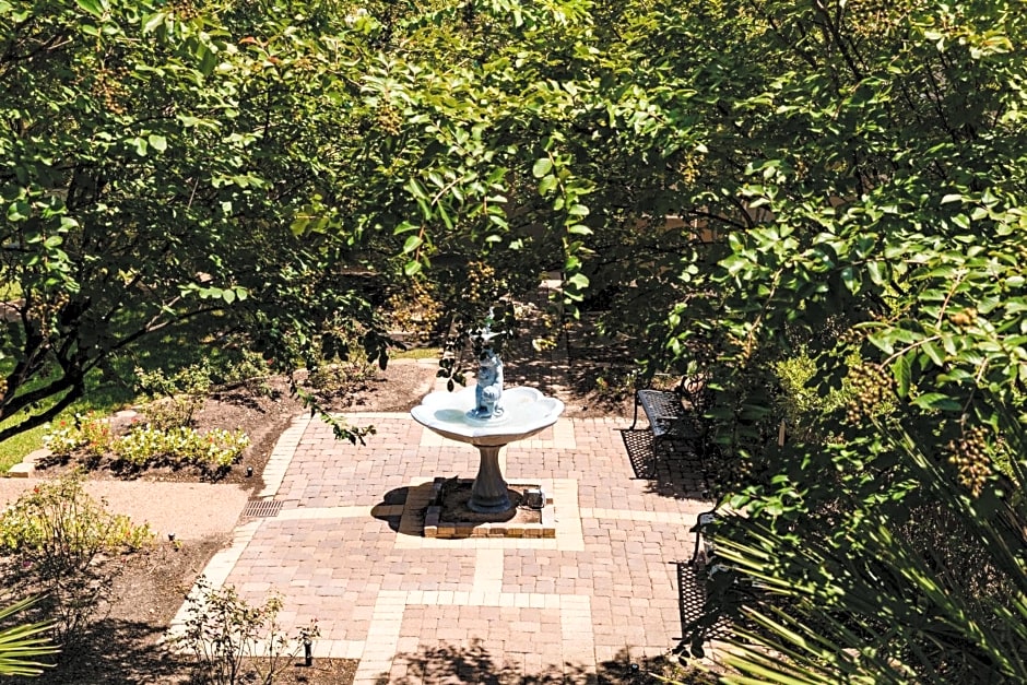 Vineyard Court Designer Suites Hotel
