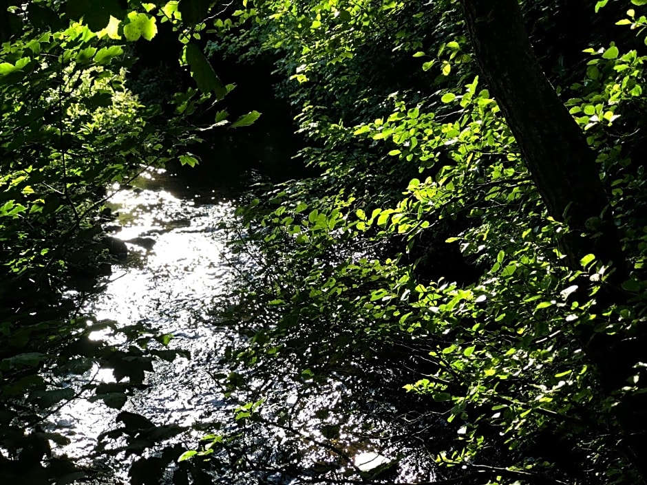 Otter Lodge Auchterarder