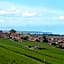 Au cœur du vignoble sur Bursins